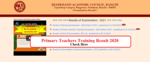 Primary Teachers Training Result 2020
